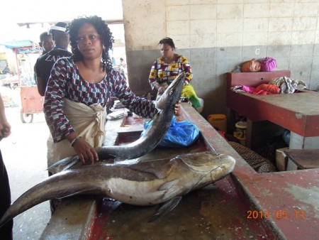 ブルビネ漁港内　カマスを売る女性